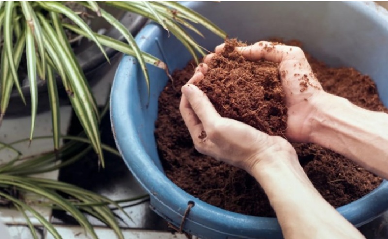 single-img-seventeen