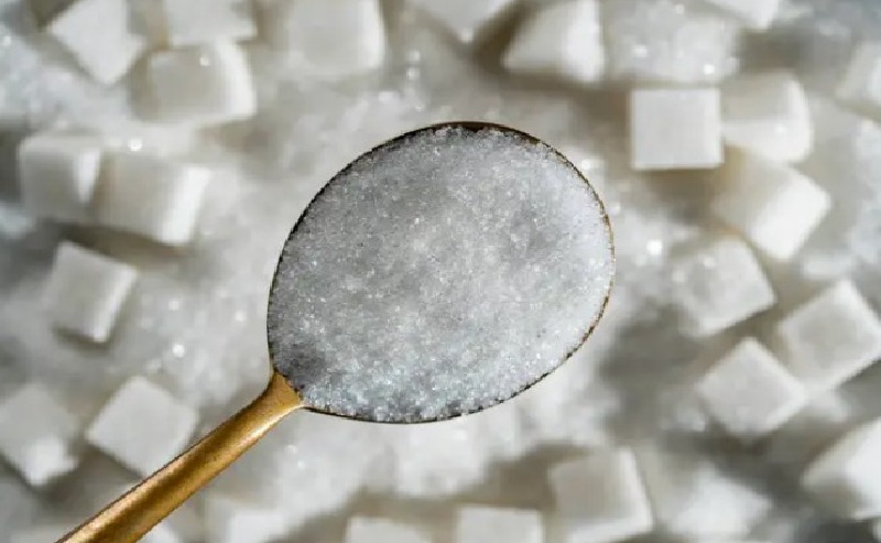 single-img-seventeen