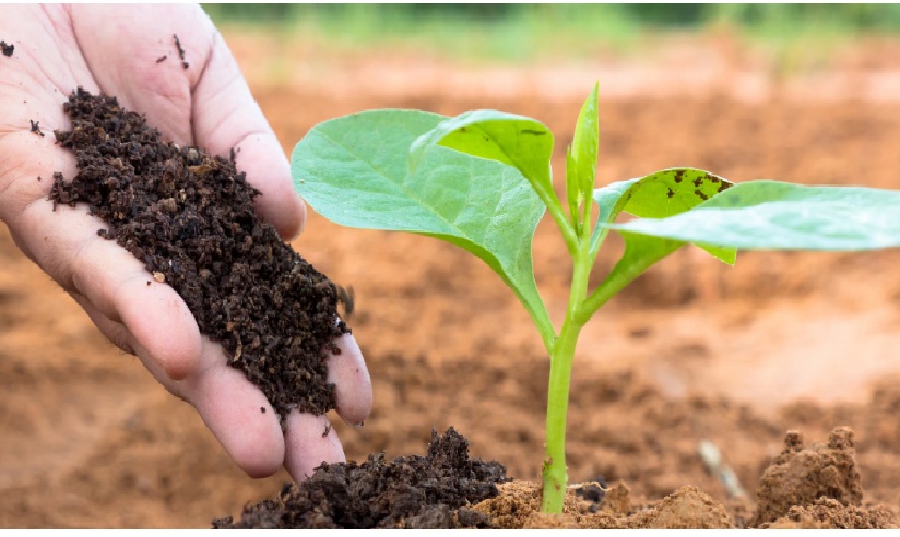 single-img-seventeen